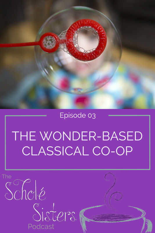 A conversation on how scholé can move our co-ops (and other educational endeavors) from less wonder to more wonder.