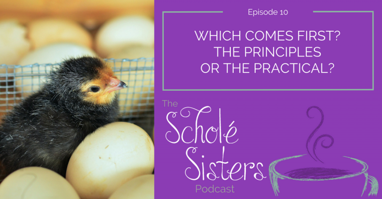SS #10: Which Comes First? The Principles or the Practical?