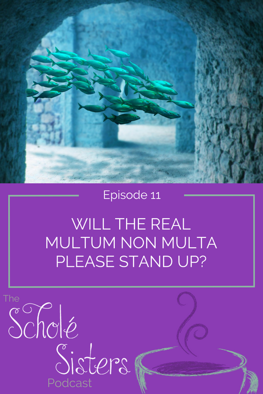 Both applied and misapplied to education, Mystie and Brandy tackle the Latin motto "multum non multa" which means "much, not many."