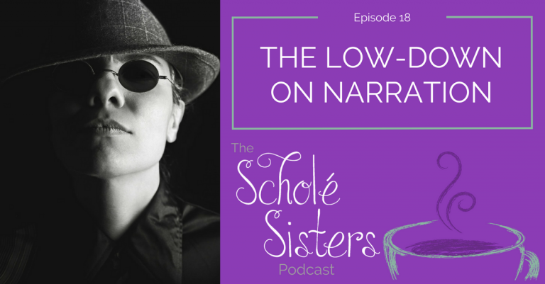 SS #18: The Low-Down on Narration