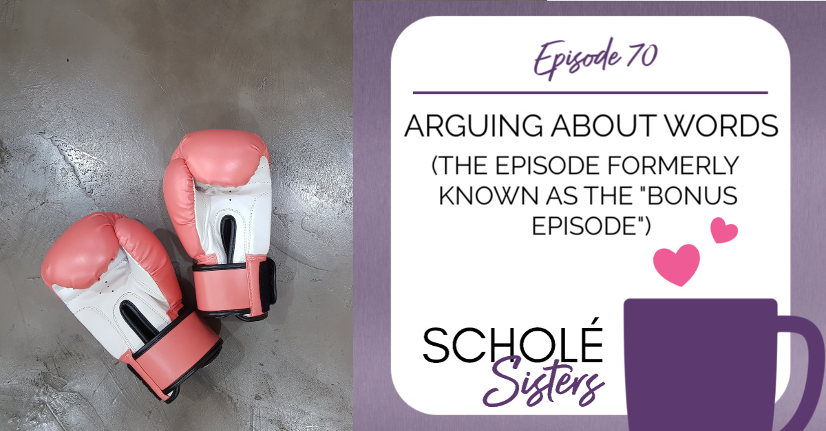 SS #70: Arguing About Words (The Episode Formerly Known as the Bonus Episode)