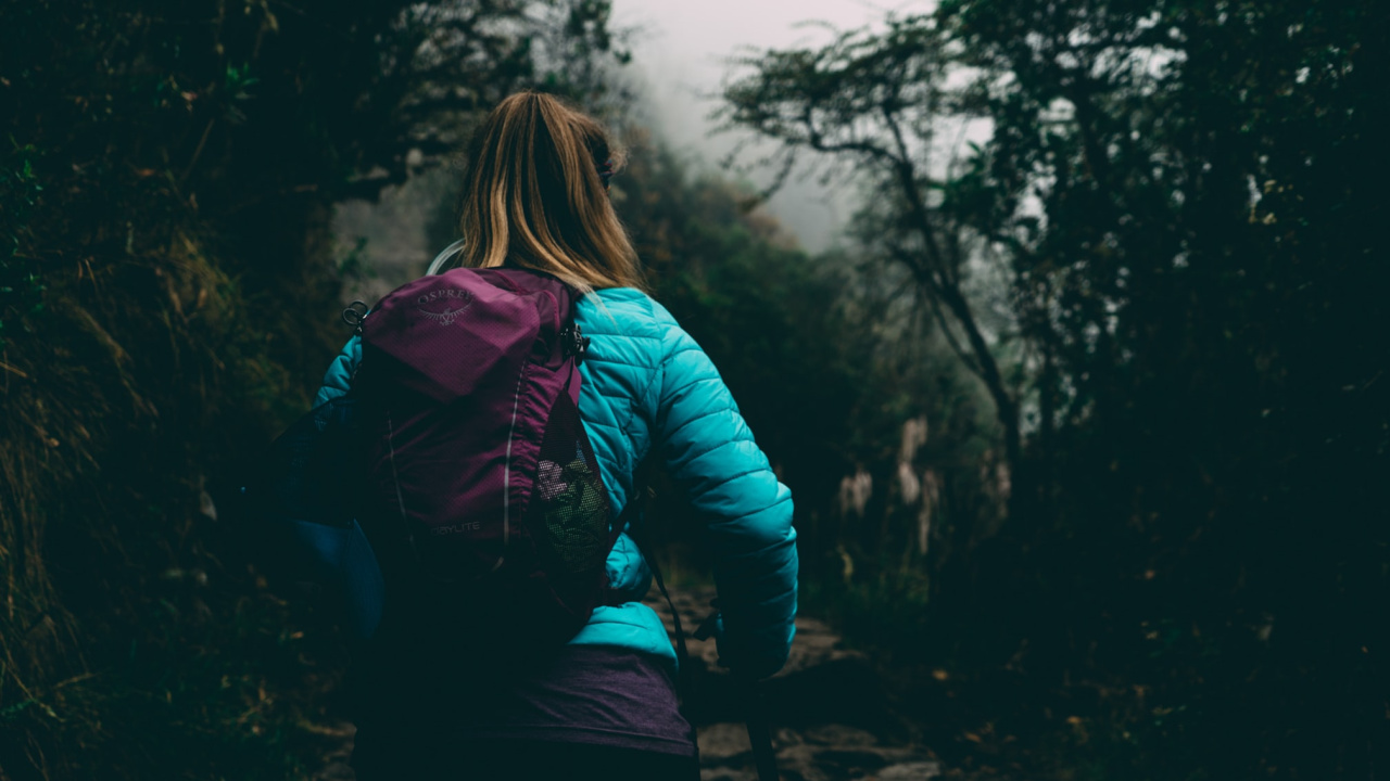 Teaching as Trekking: What a Teacher Ought to Be