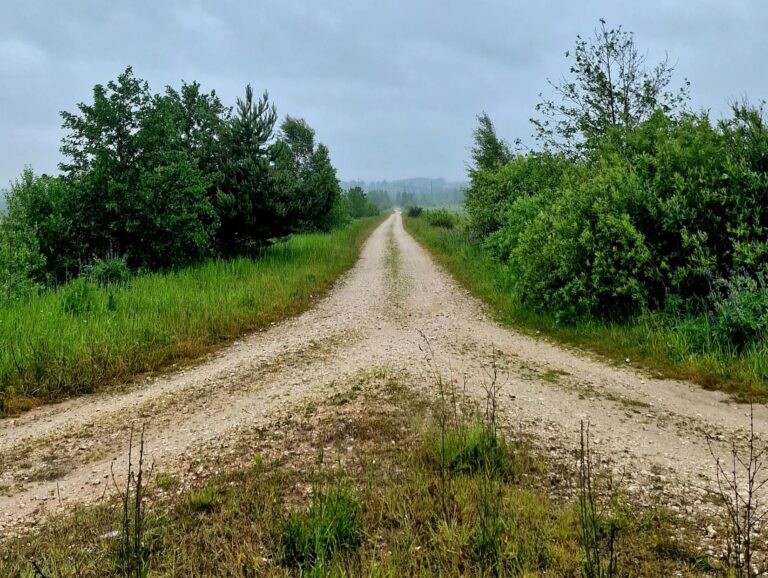 Discover a tranquil rural crossroad surrounded by lush greenery and a cloudy sky, perfect for peaceful travels.